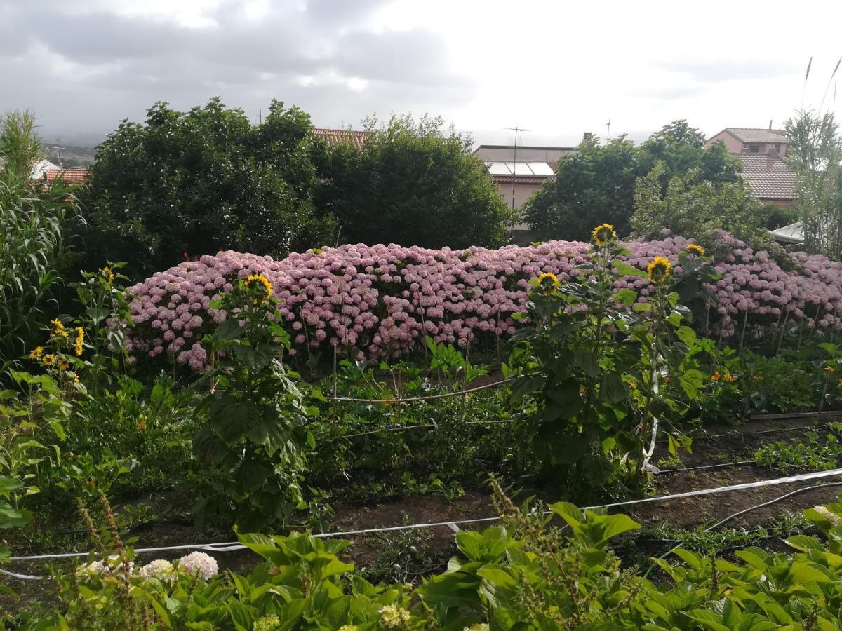 Affitta Camere Casa Delle Rose Villanova Monteleone المظهر الخارجي الصورة